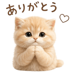 "My cat" that you can use forever