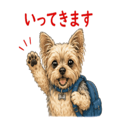 Yorkshire Terrier Daily Chat NanoLife