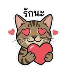 cat is Tangtang