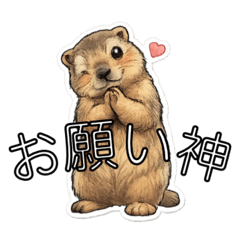 kanahebi_20260429202435
