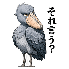 Shoebill boys from Japan