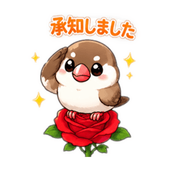 umebosi_20260506130216