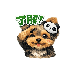 yorkshireTerrier very cute