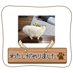 yuna_20260506131013