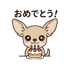 Expressive Beige Chihuahua: Daily Life