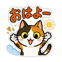 chanmeg_20260506130639
