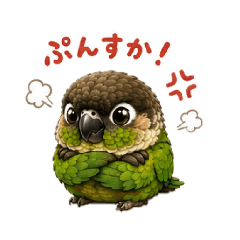 Riona_20260506130811