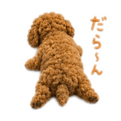 momomi_20260506131924