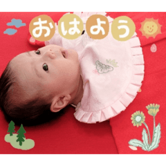 picom_20260506132453