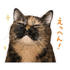 Haruka_20260506132625