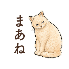 Quiet Reply Cat 2