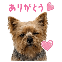 PARU-chan sticker