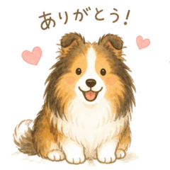 Sweet Sheltie Day