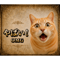 a lot of cats_20260507193659