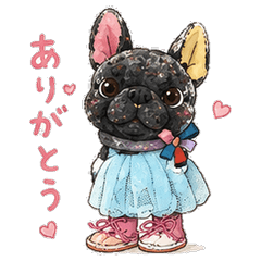 Cute Frenchie Kuro  Daily Life