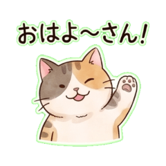 関西弁の三毛猫さん