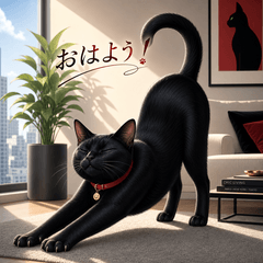 Elegant Black Cat in the City