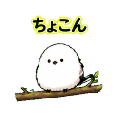 Tiny Shima Enaga