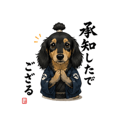 Samurai Dachshund Groomer