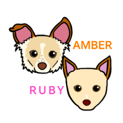Mutt AMBER & RUBY
