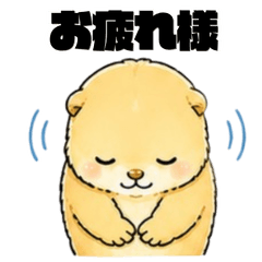 Cute Prairie Dog Daily Life 2
