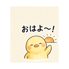 Piyo Taro - Daily Chat Stickers