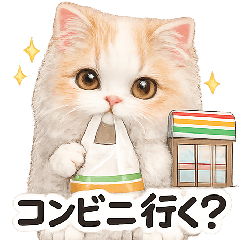 persian cut cat