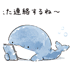 Sea Friends Who Want to Keep Talking