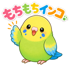 Mochi-mochi budgie "Piko"