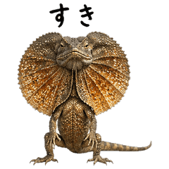 Real Frilled Lizard Love Stickers