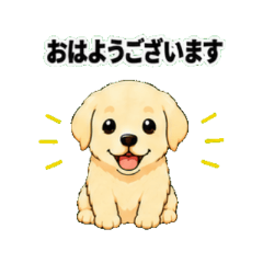 Labrador cream - Daily Chat Stickers