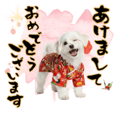 DOG  GOOD  Sticker295