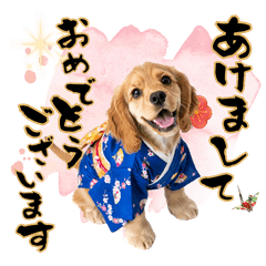 DOG  GOOD  Sticker294