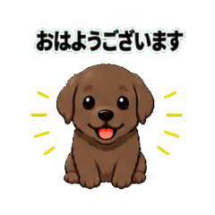 Labrador chocolate - Daily Chat Stickers