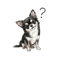 Tully the Chihuahua| Daily Chat Stickers