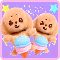Pop Up Toy Poodle Daily Life Sticker