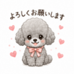 Cute Silver Toy Poodle Polite Stickers