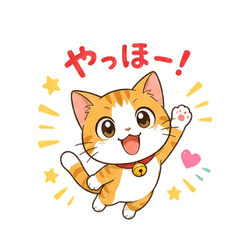 20260508-cat-01