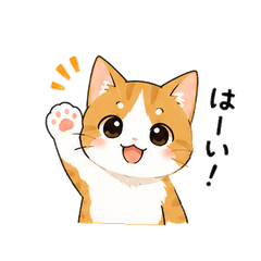 20260508-cat-02
