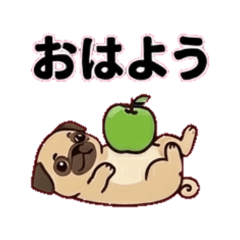 a green apple and a pug
