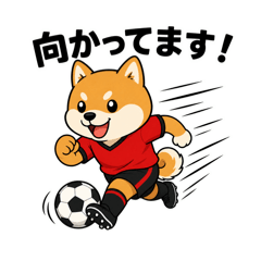 Soccer Shiba Inu: Daily Chat