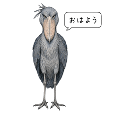 Stoneface Shoebill Stickers