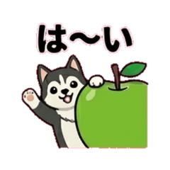 a green apple and a husky dog