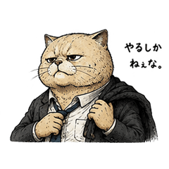 A grumpy-faced cat, GRETA
