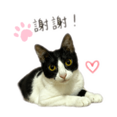 小baby棒棒的