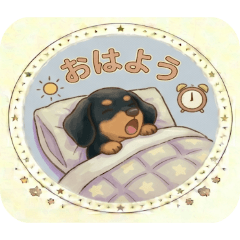 mon_20260506050643