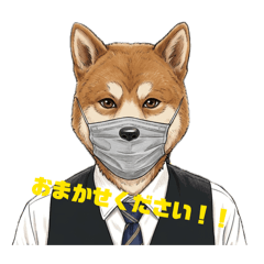 GOGOLET'S GO_20260506140131