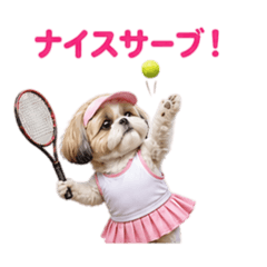 YUI_20260506054043