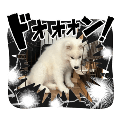 nikomaru_20260506140305