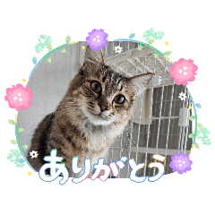 jasumin_20260506140122